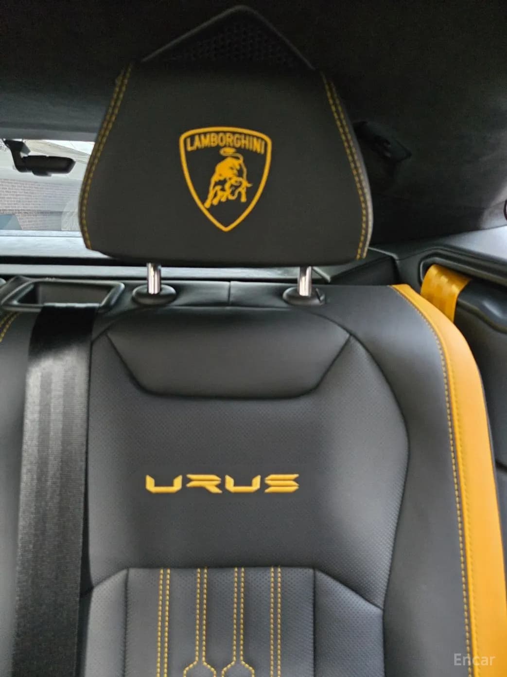 Urus