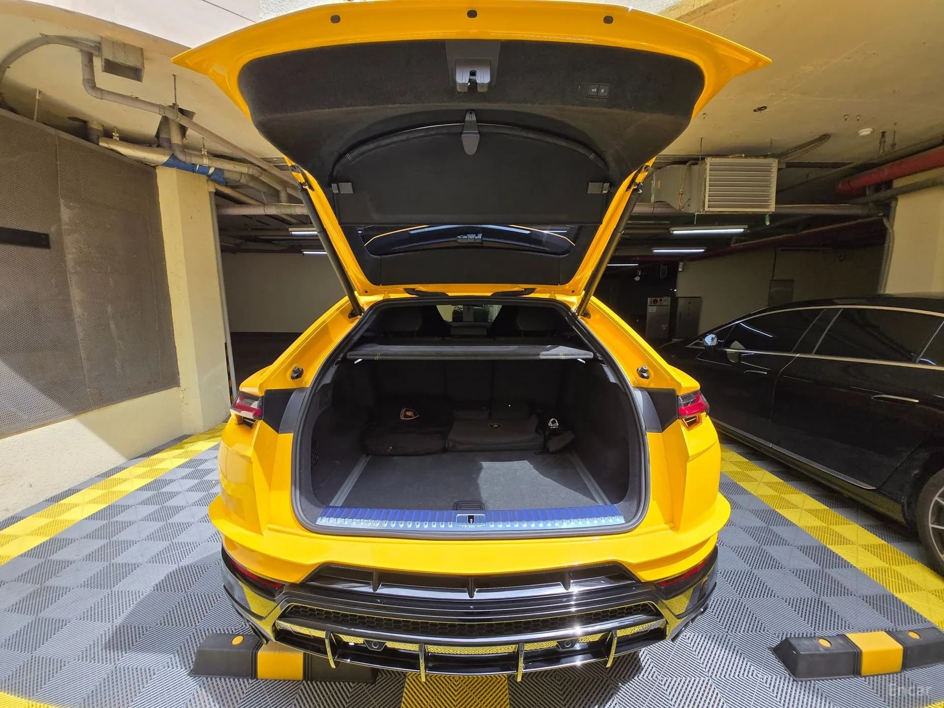 Urus