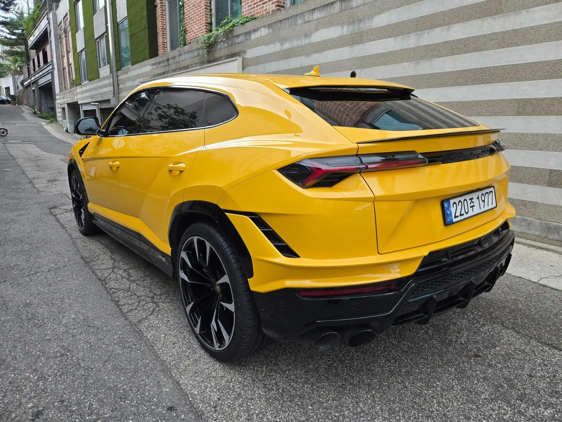Urus