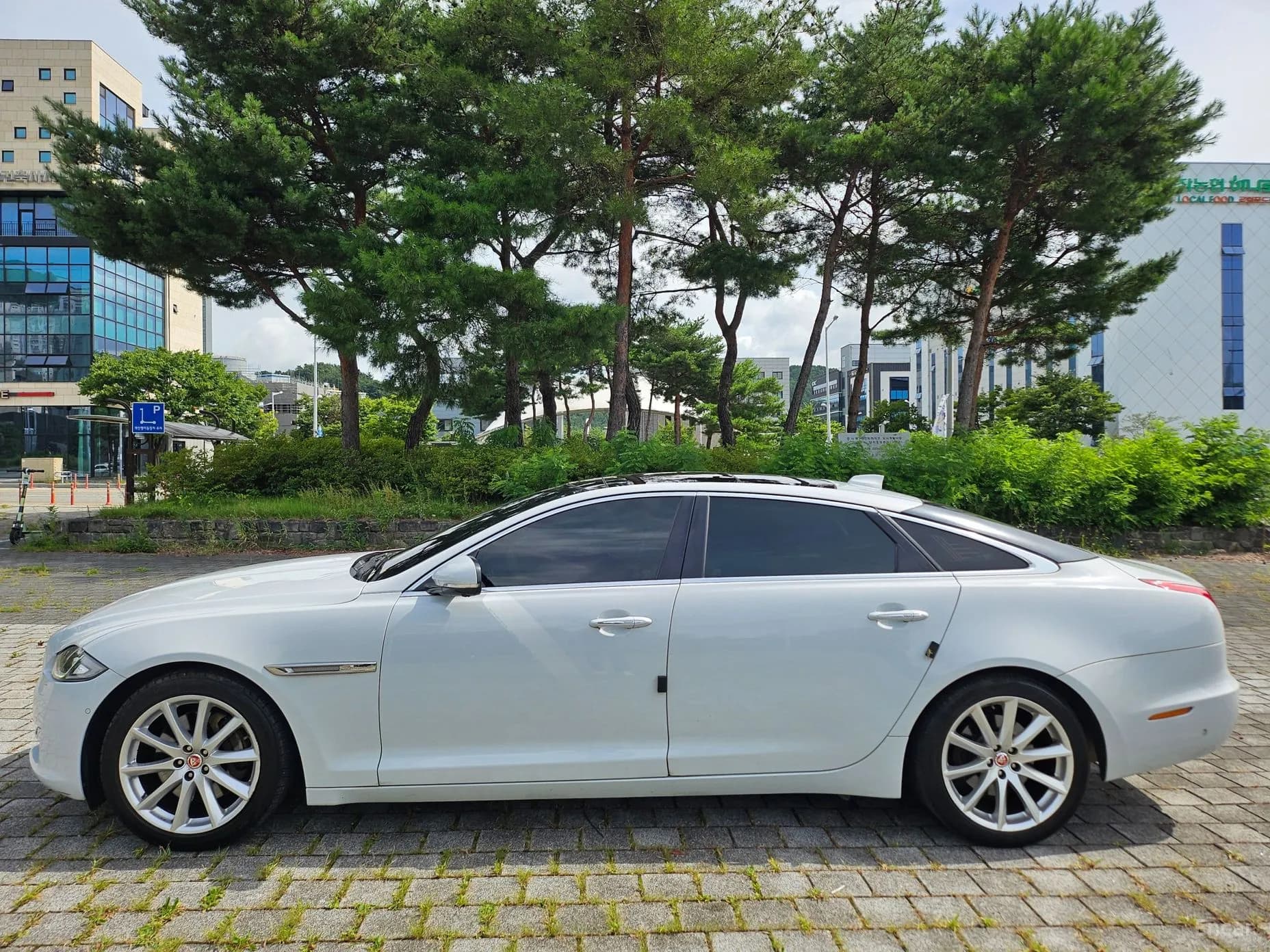 All New XJ