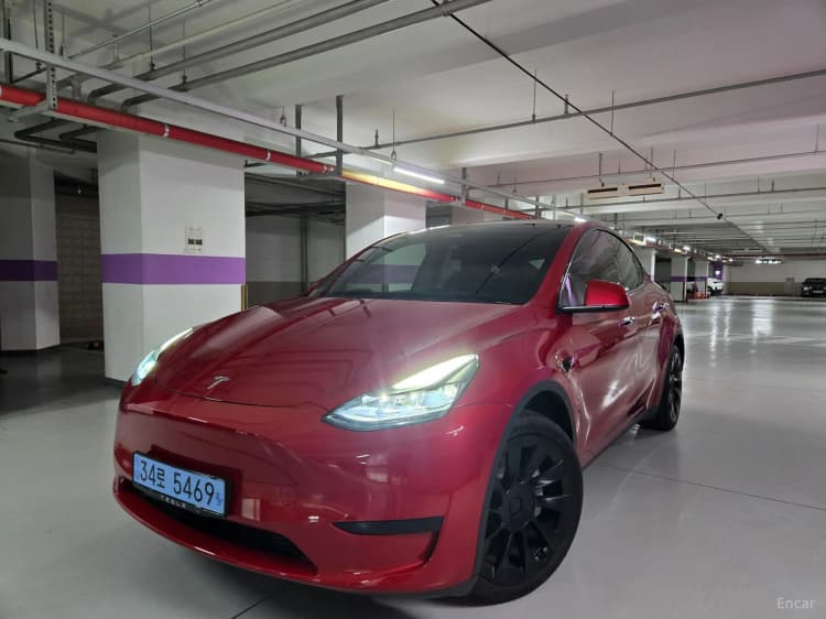 Model Y