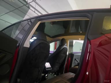 Model Y