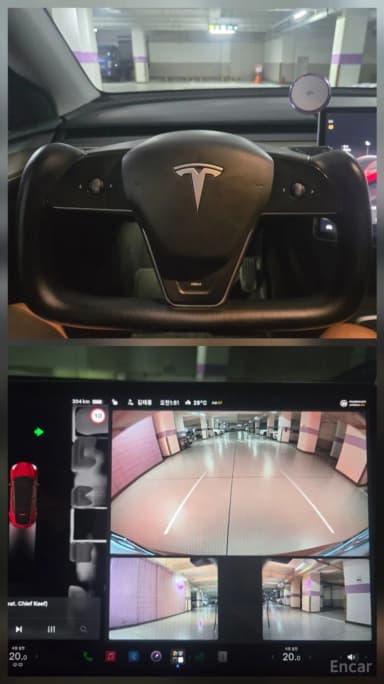 Model Y
