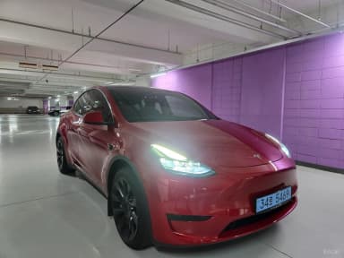 Model Y