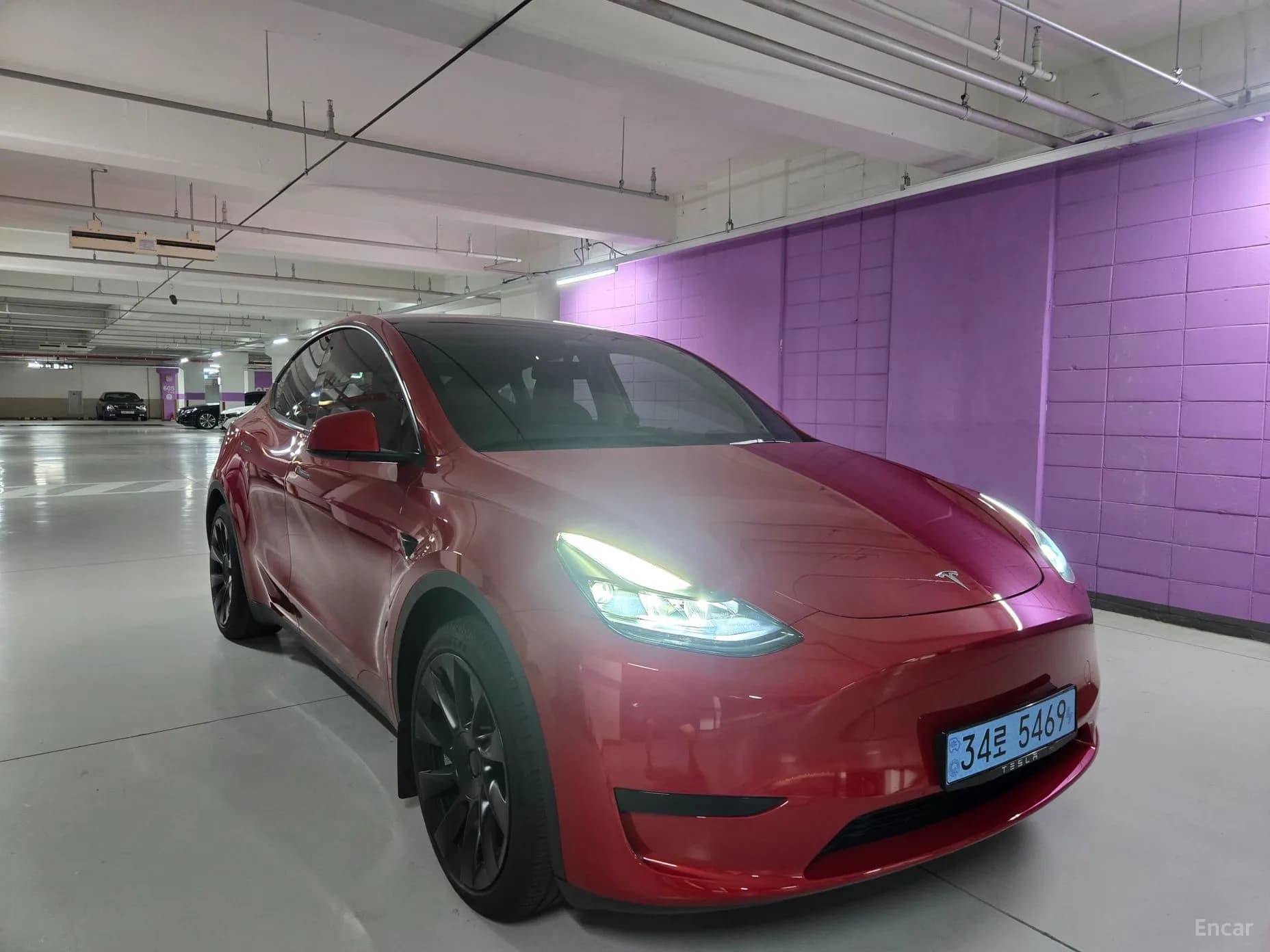 Model Y