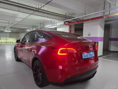 Model Y