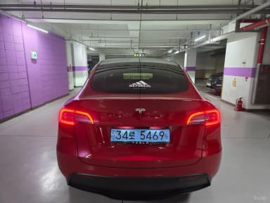 Model Y