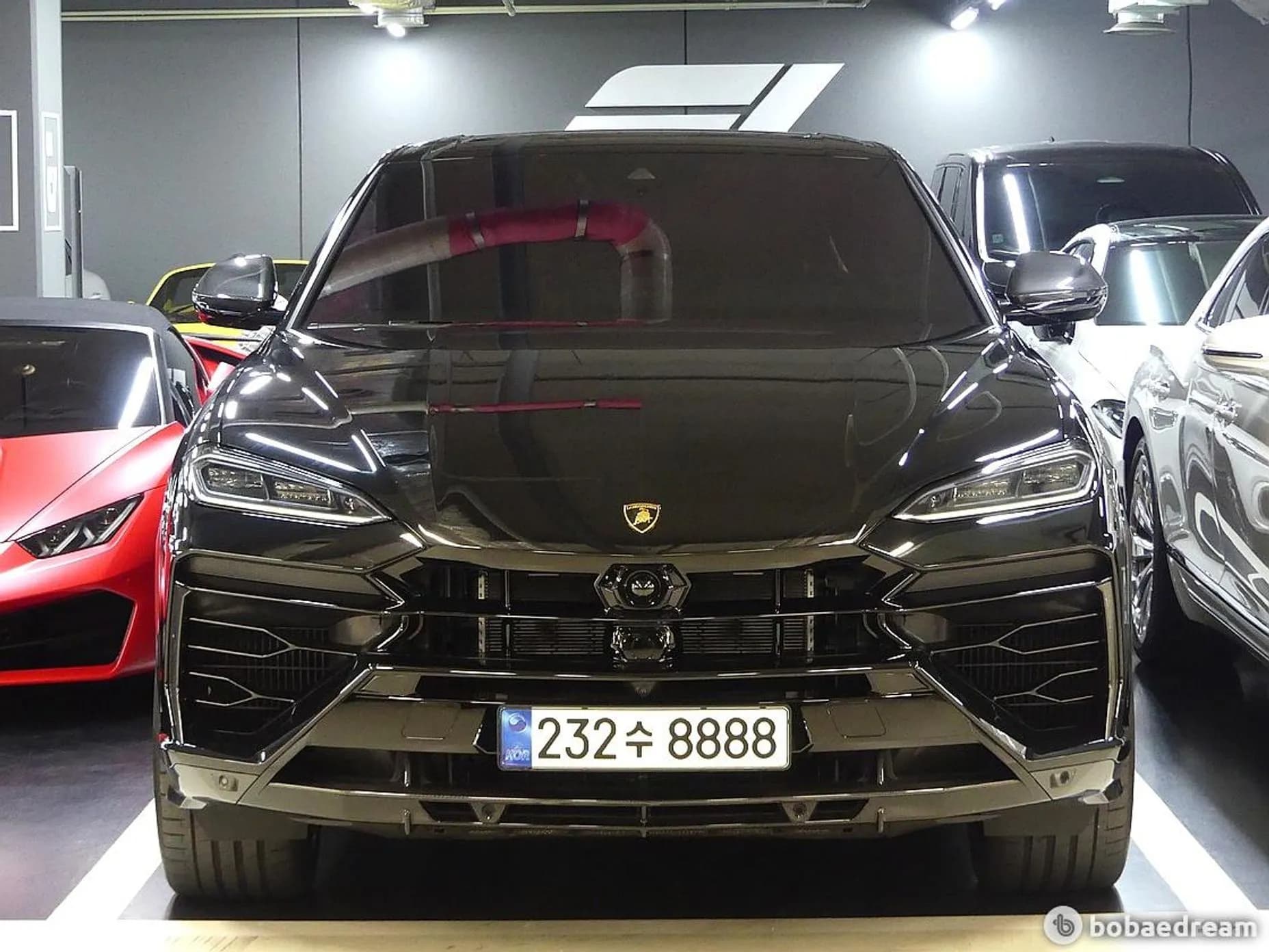 Urus