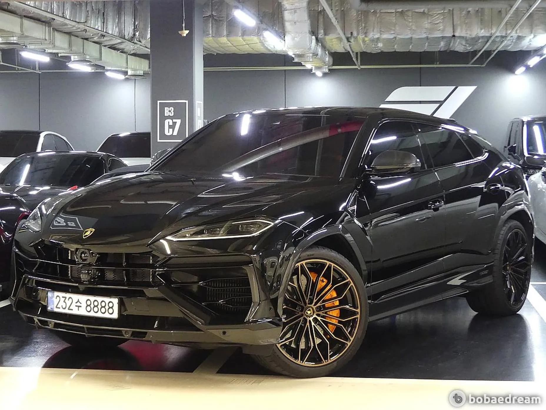 Urus
