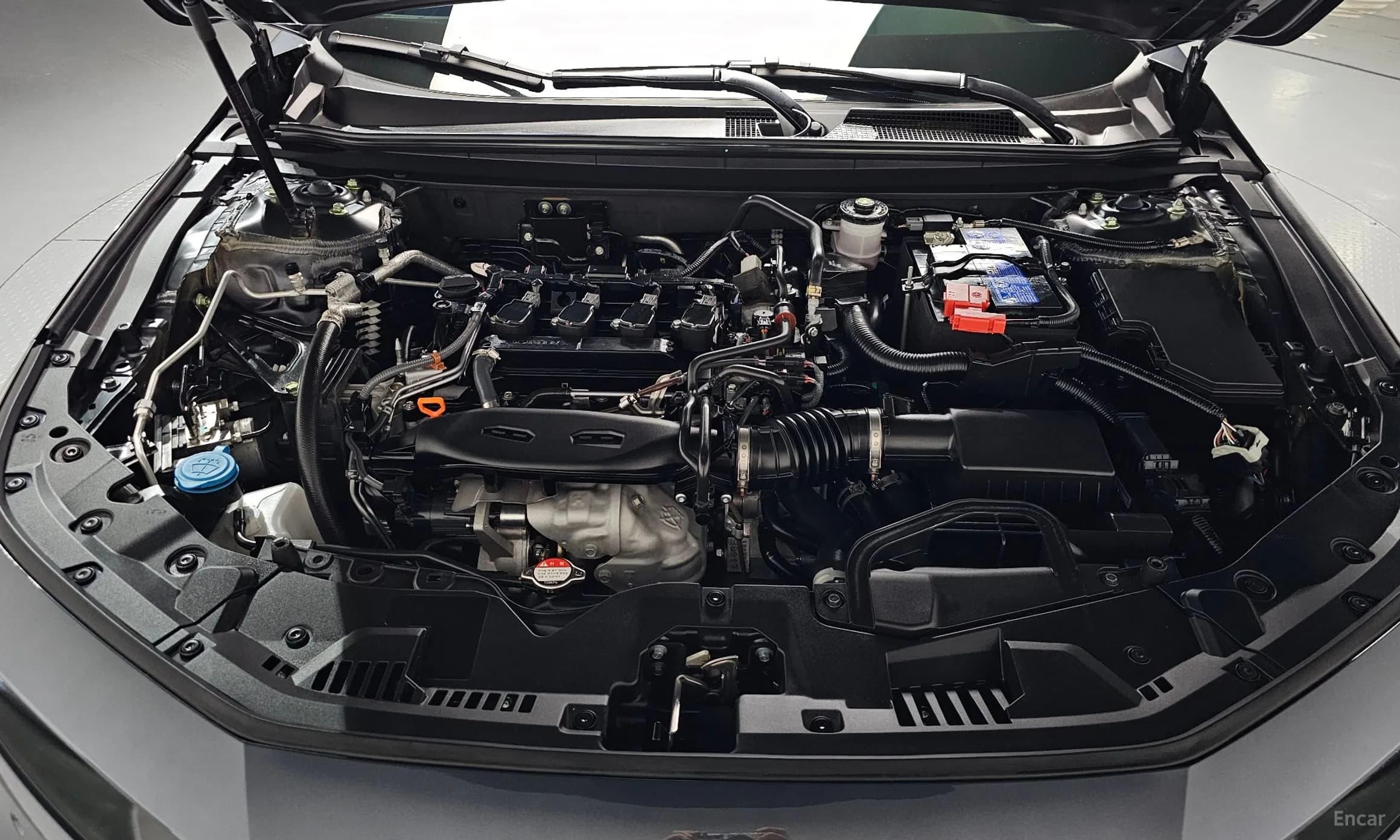 Accord 11th Generation