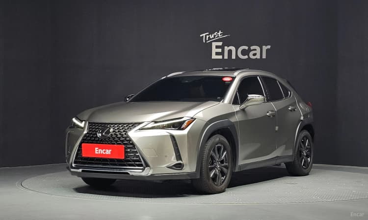 UX250h