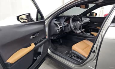 UX250h