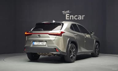 UX250h