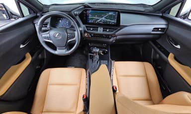 UX250h