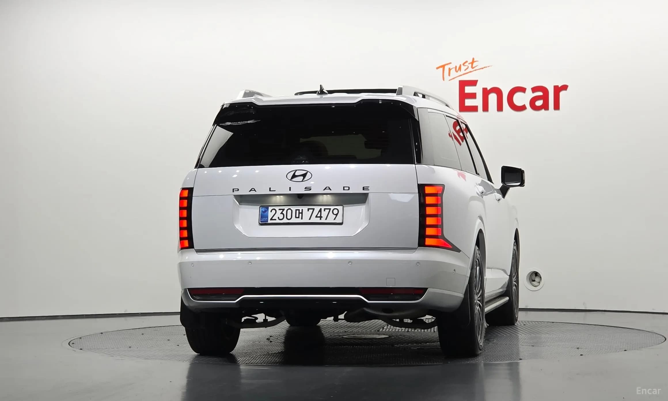 Palisade (LX3)
