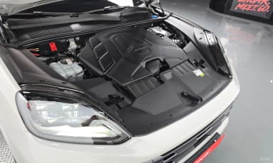 Cayenne (PO536)