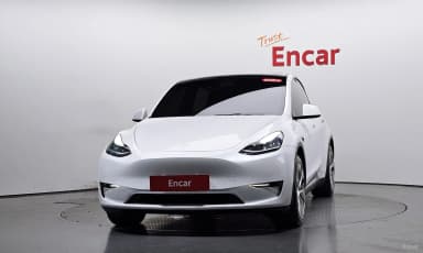 Model Y