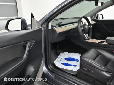 Model Y