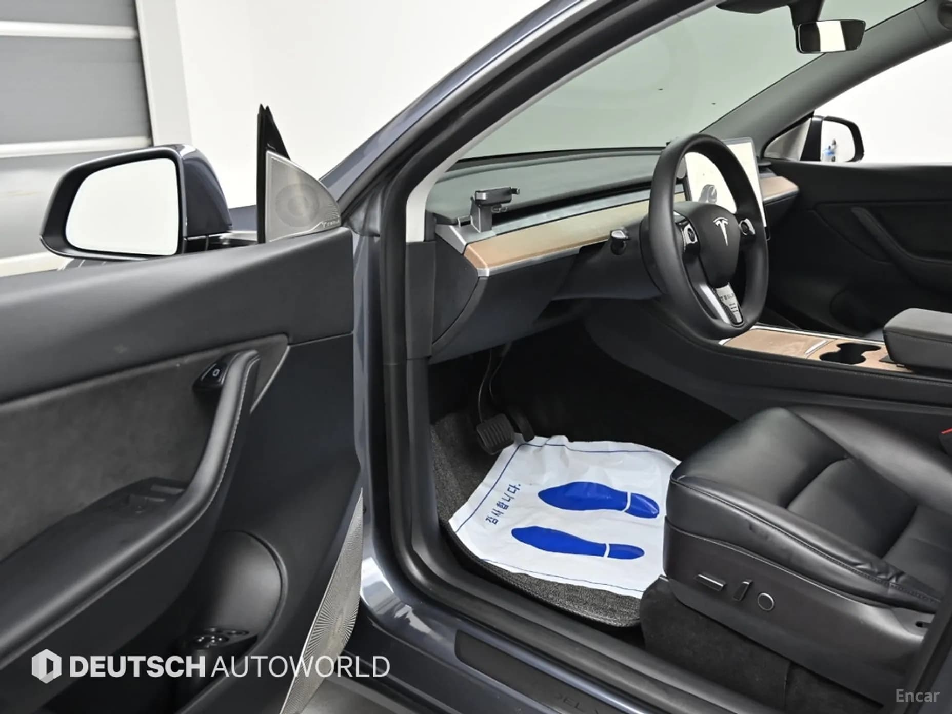 Model Y
