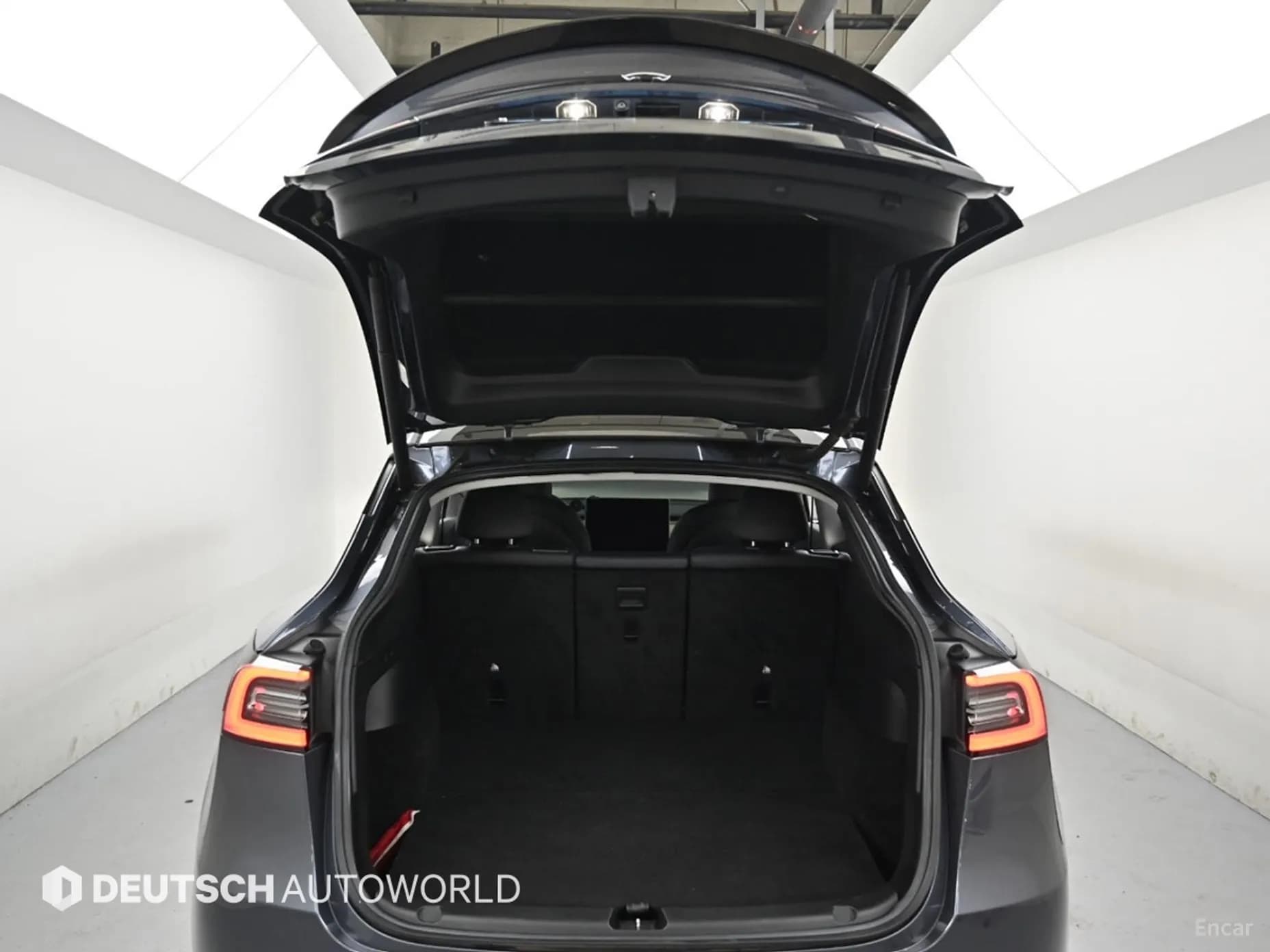 Model Y