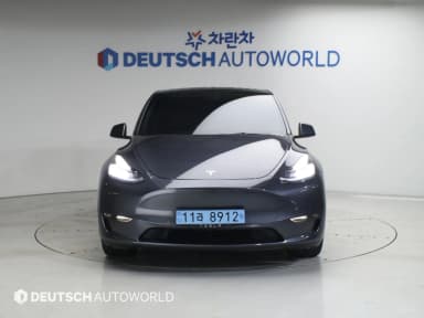 Model Y