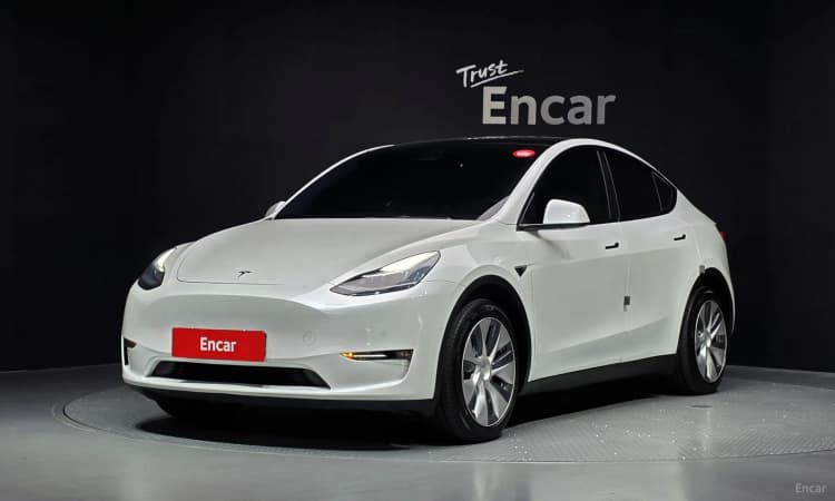 Model Y