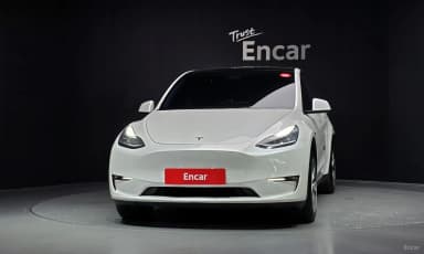 Model Y