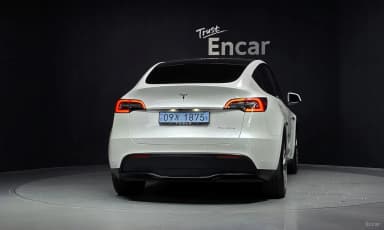 Model Y