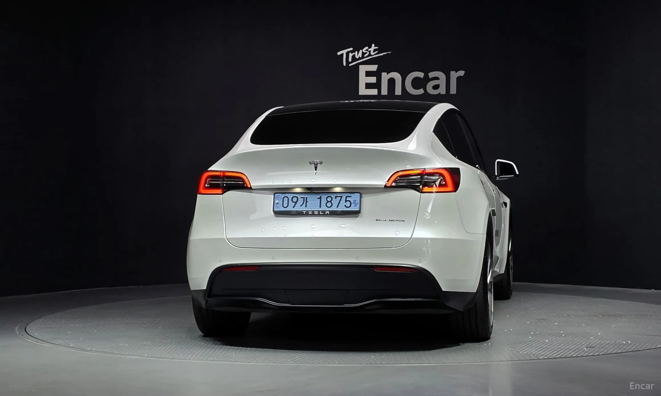 Model Y