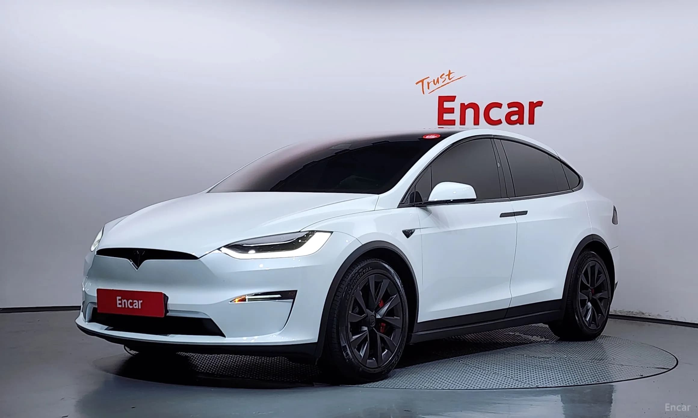 Model X
