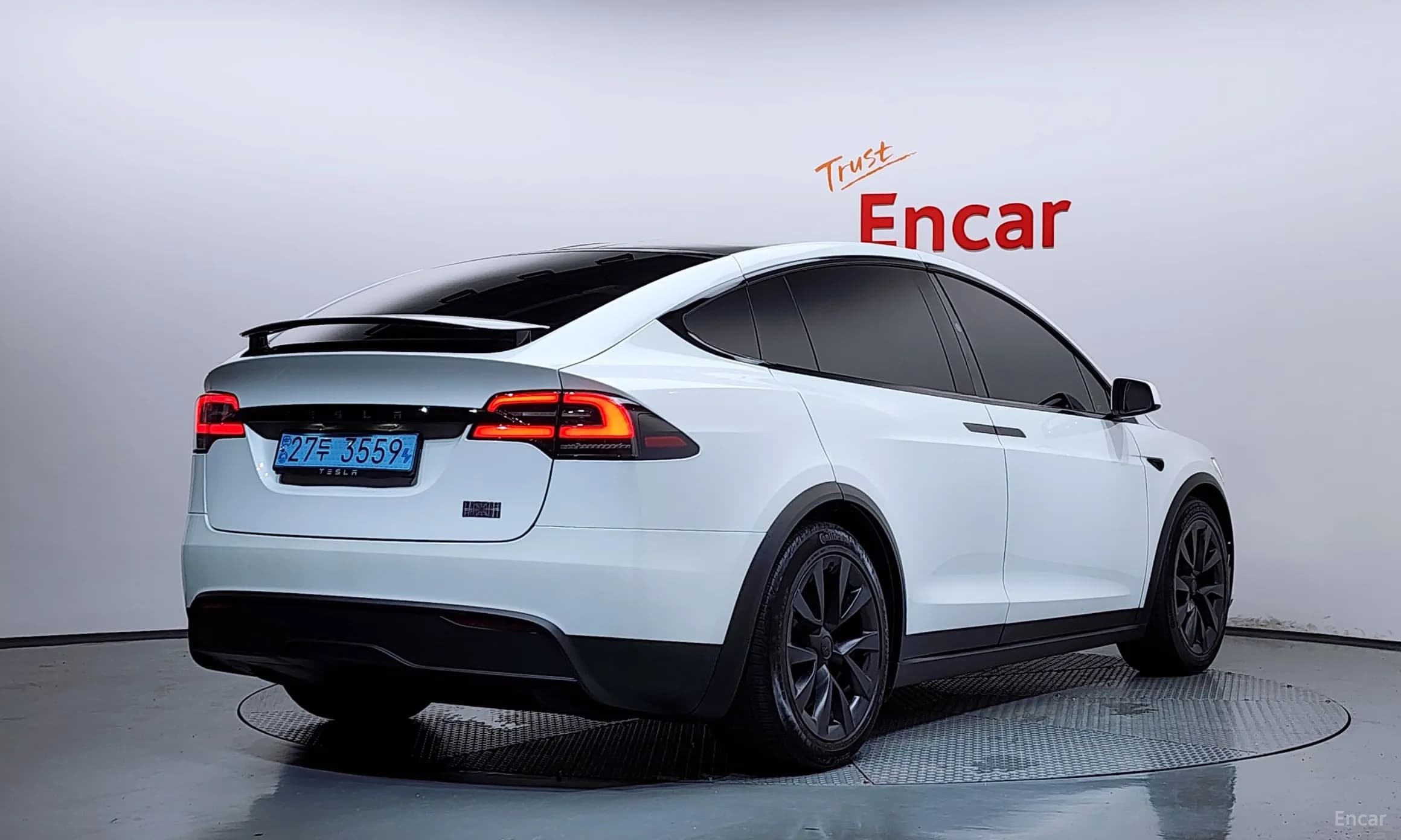 Model X