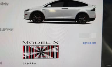 Model X