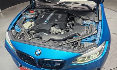 M2 (F87)