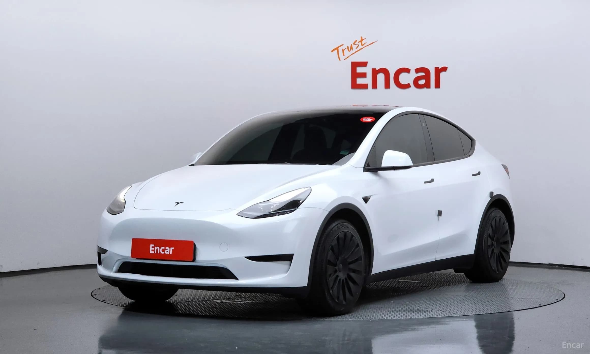 Model Y