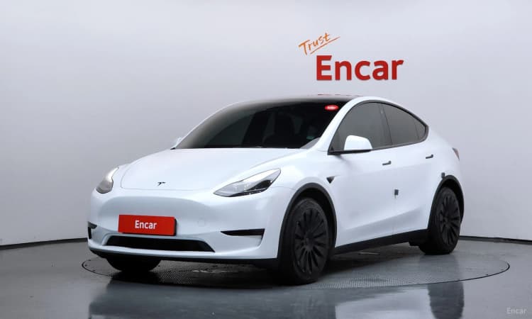 Model Y