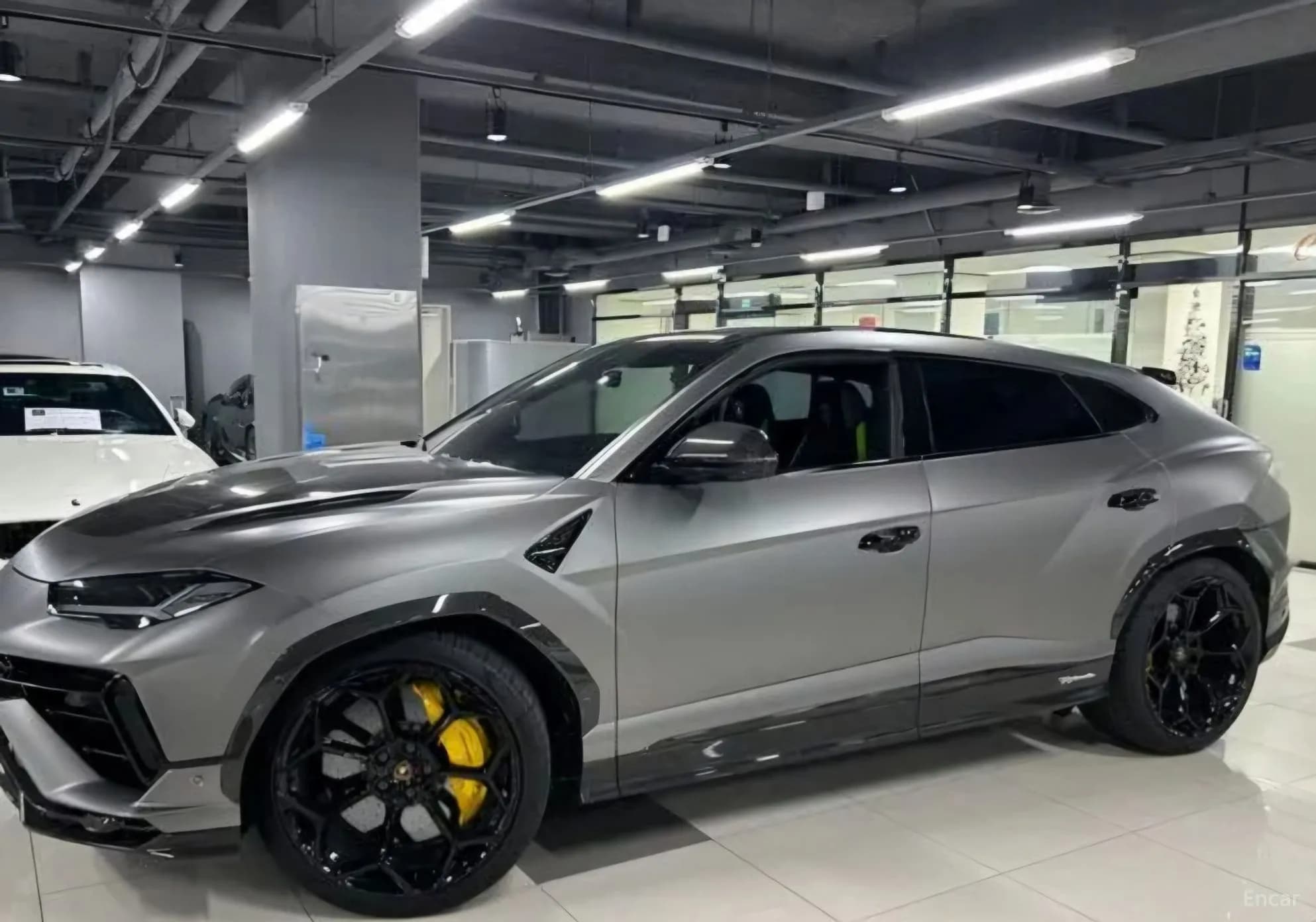Urus