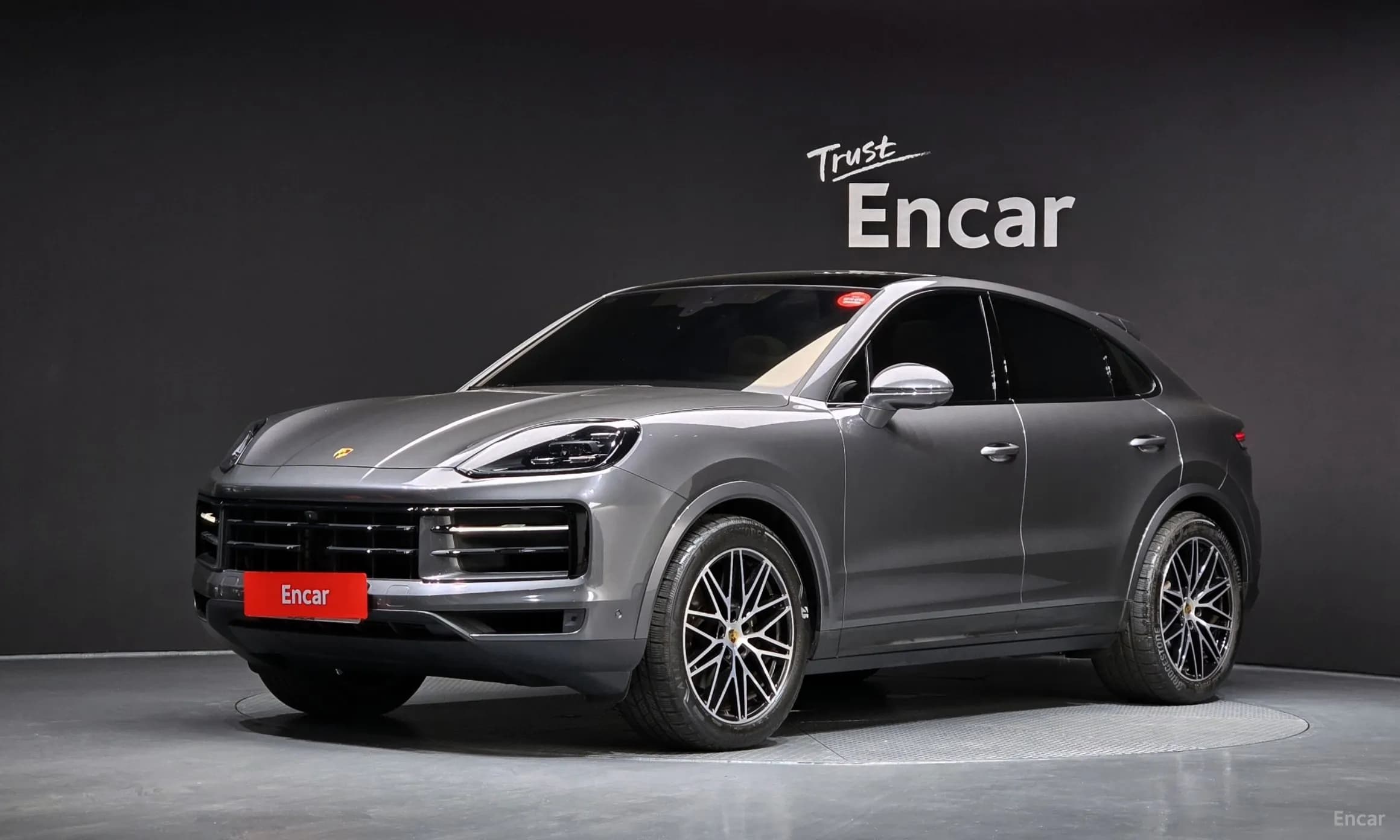 Cayenne (PO536)