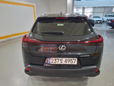 UX300h