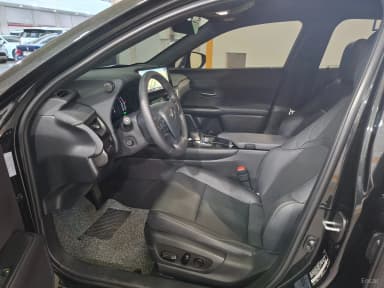 UX300h