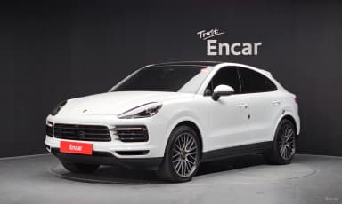 Cayenne (PO536)