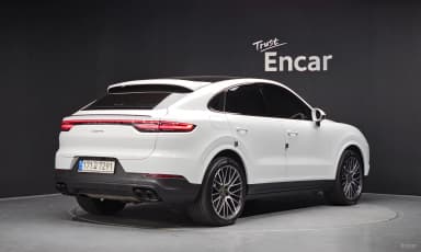 Cayenne (PO536)