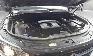 Rexton Sports