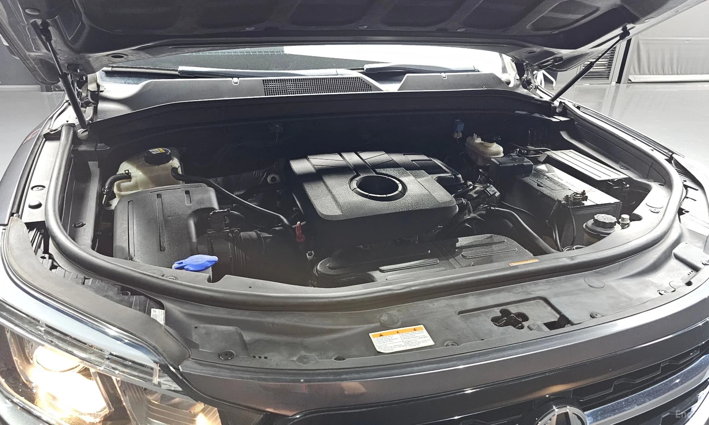 Rexton Sports