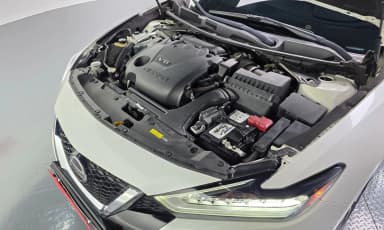 Maxima (A36)