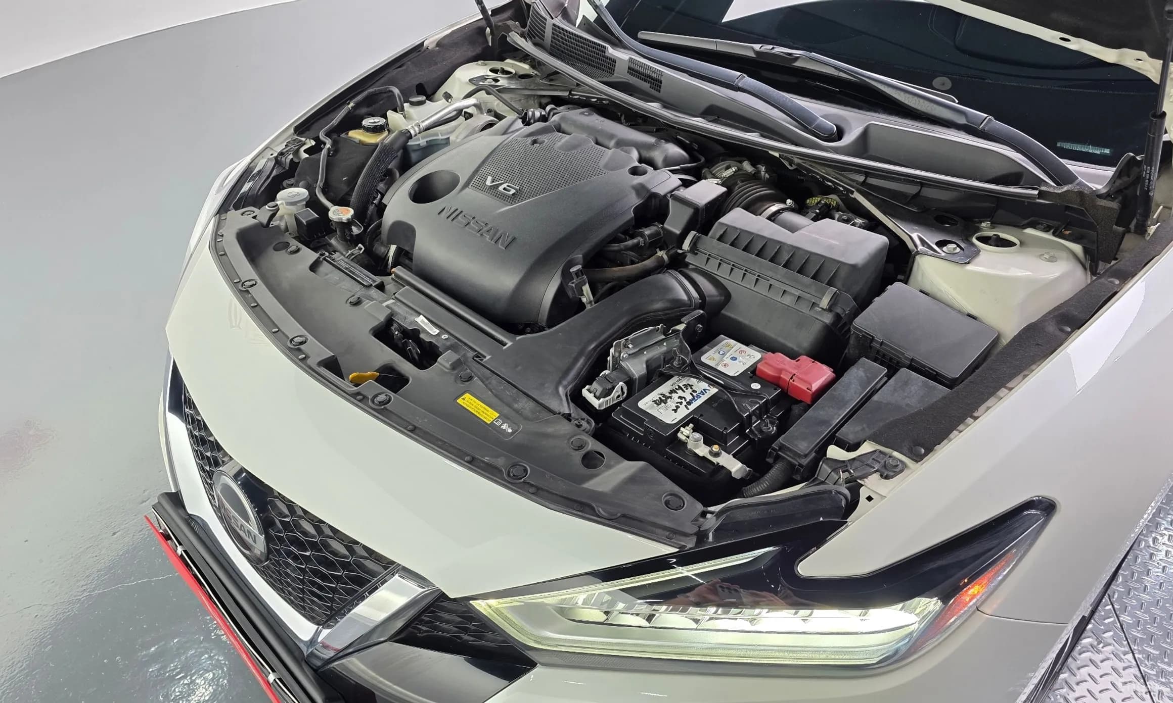 Maxima (A36)