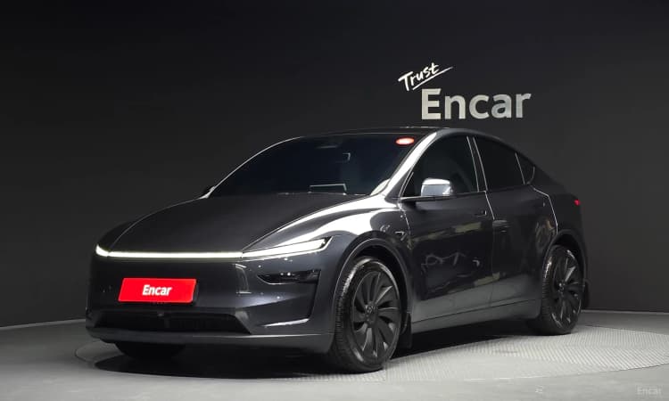 Model Y
