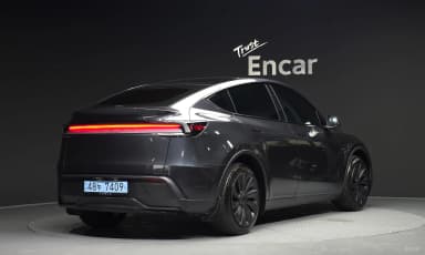 Model Y