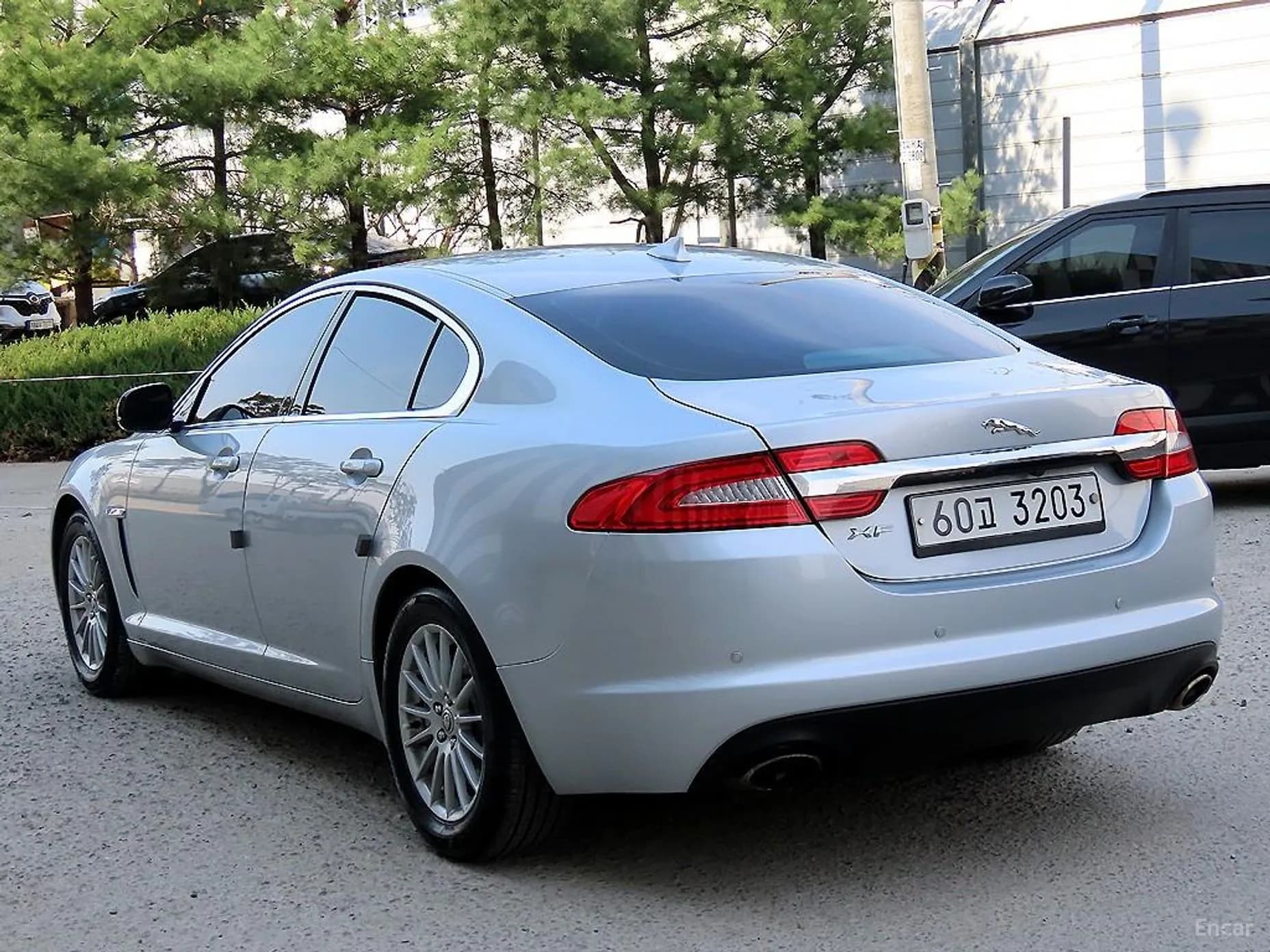 New XF