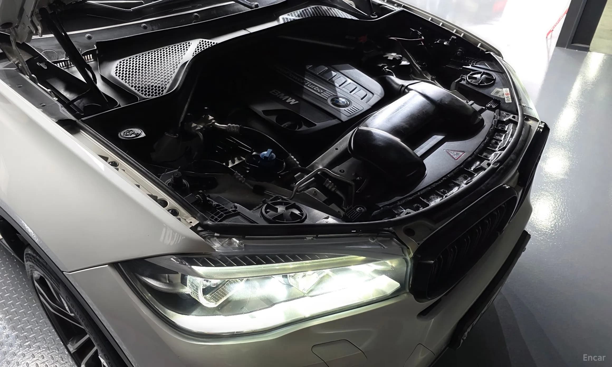 X6 (F16)