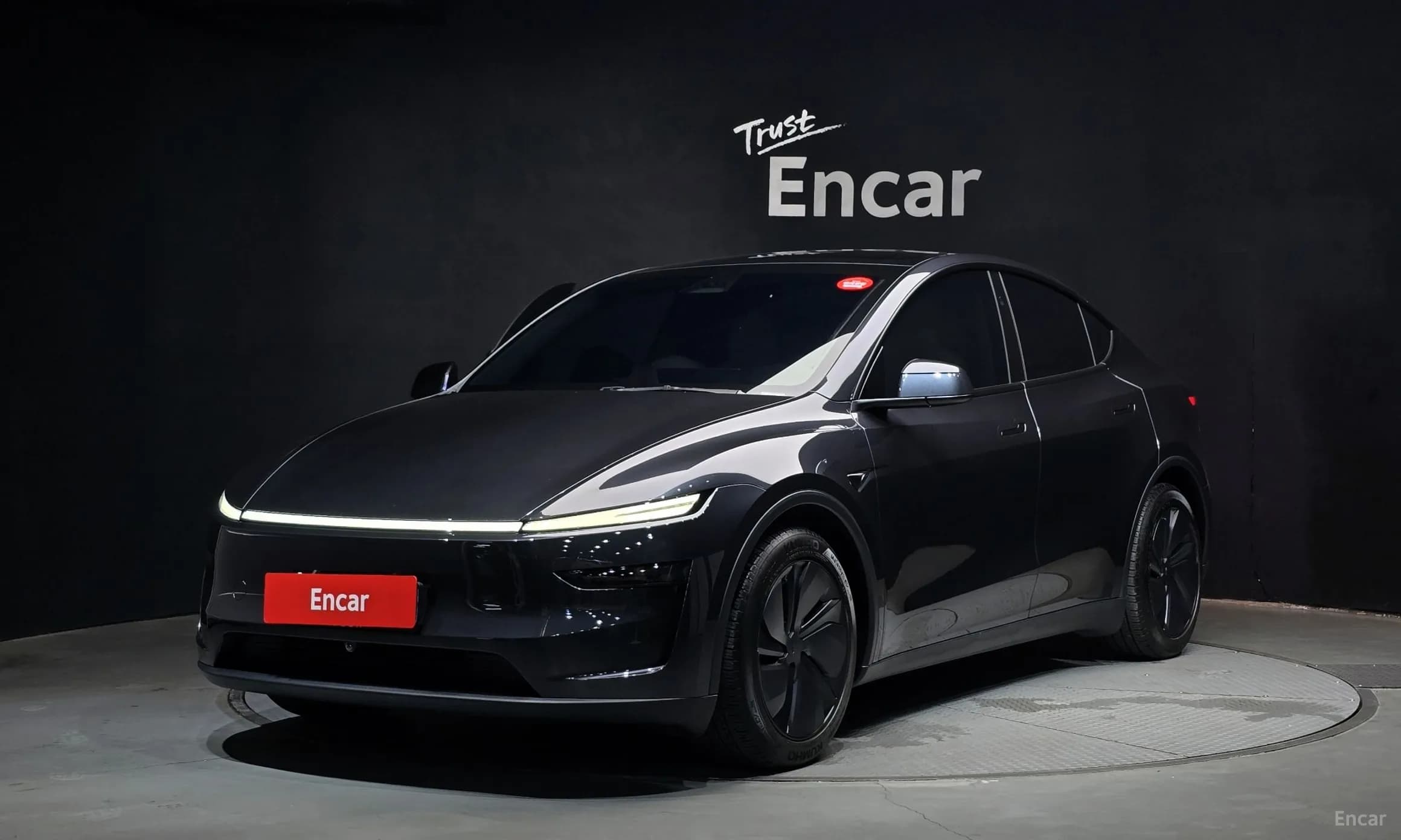 Model Y
